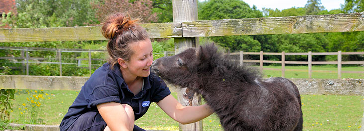 An RSPCA Volunteer taking care of a young foal © RSPCA Photolibrary An RSPCA Volunteer taking care of a young foal © RSPCA Photolibrary