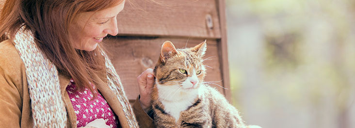 Rehome Or Adopt A Rescued Pet | RSPCA Rehome Or Adopt A Rescued Pet | RSPCA
