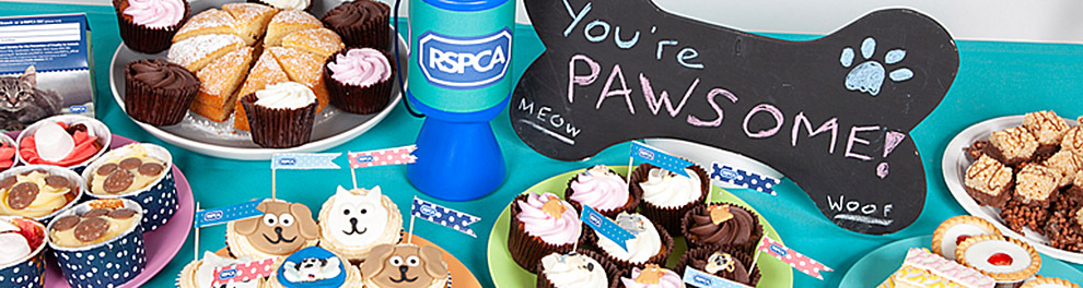Fundraising Ideas And Resources Rspca