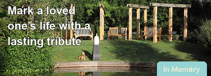 Spaniel sitting next to the water in the RSPCA memorial garden © RSPCA photolibrary
