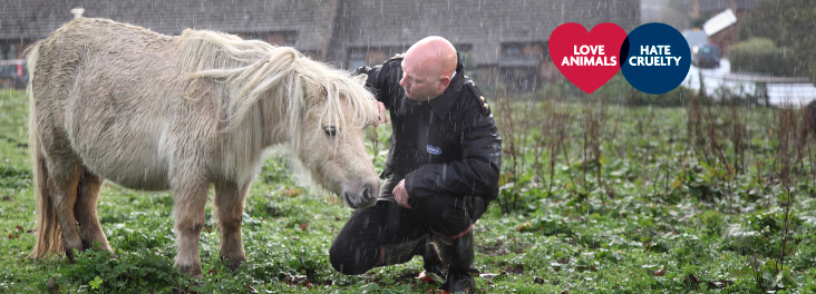 Love Animals. Hate Cruelty. RSPCA Inspector checking on the welfare of a horse in the rain.