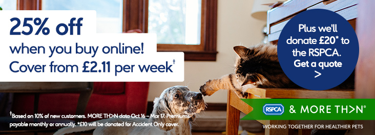 Protect your pet from £8.57 a month © MORE THAN Protect your pet from £8.57 a month © MORE THAN