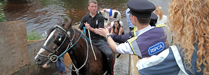RSPCA inspector approaching horse rider at Appleby Horse Fair © RSPCA