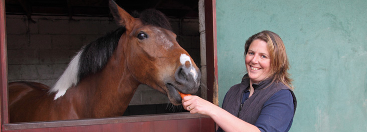 Portrait of new owner horse Polly in new stable © RSPCA photolibrary
