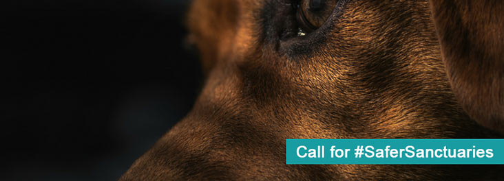 Call for #SaferSanctuaries with RSPCA © Canva
