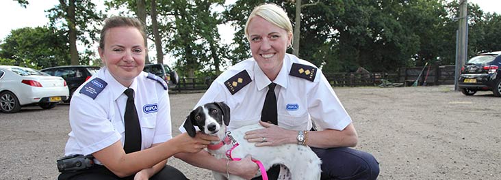 RSPCA Inspectors with rescue dog © RSPCA