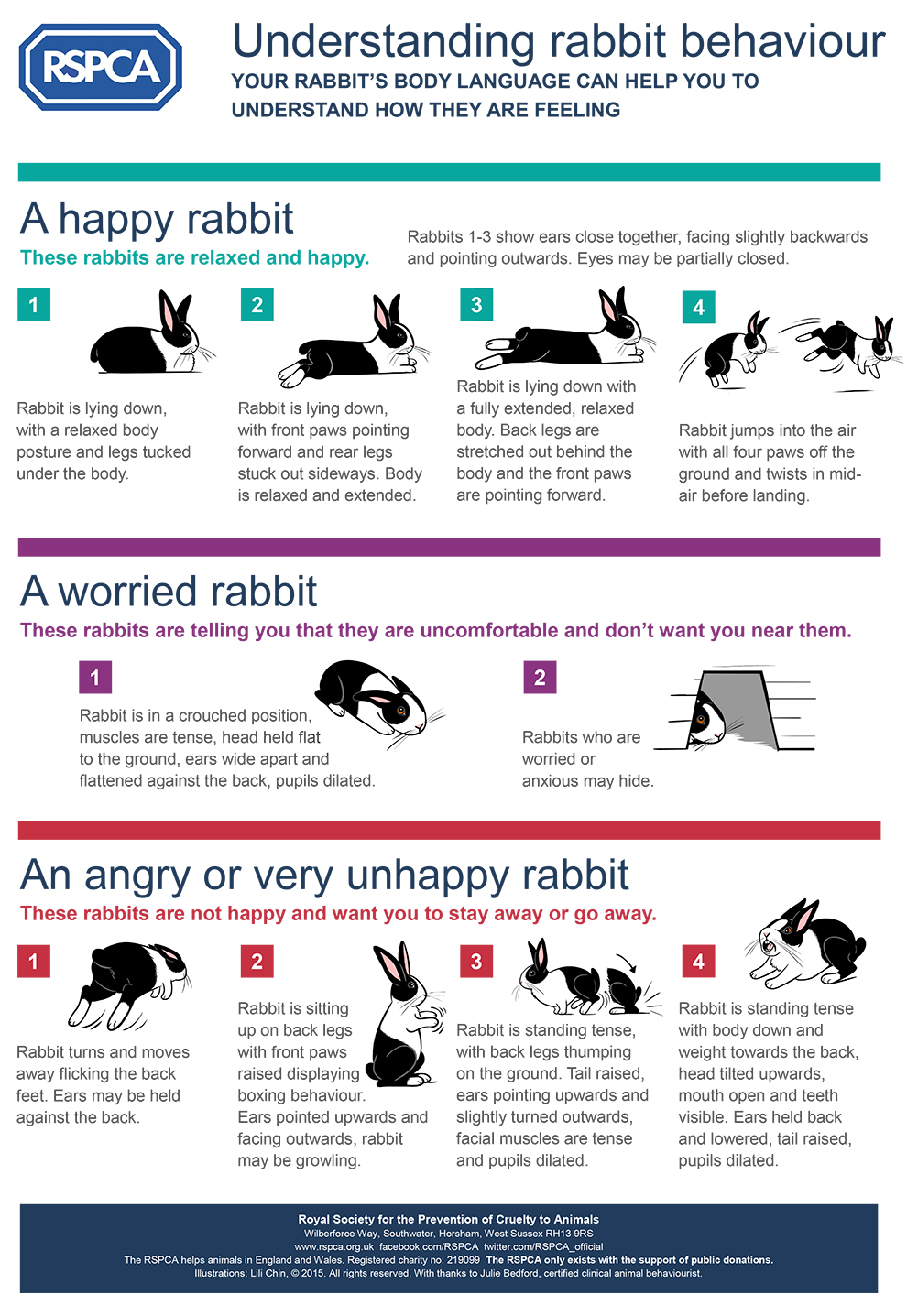 Body Language Signs And Meanings