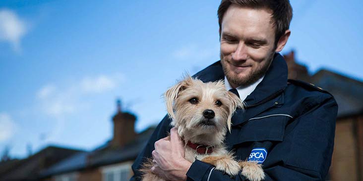 Inspector holding dog © RSPCA photolibrary