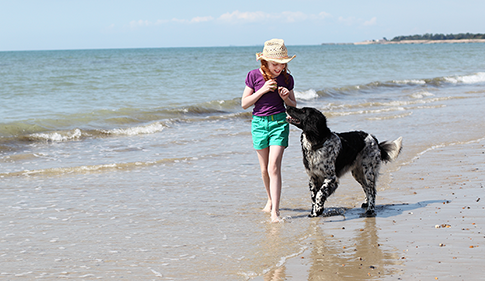 Girl with dog on the beach