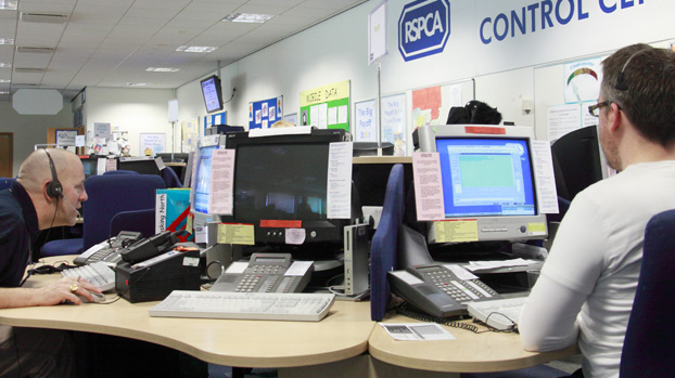 Two RSPCA national control centre employees answering calls © RSPCA