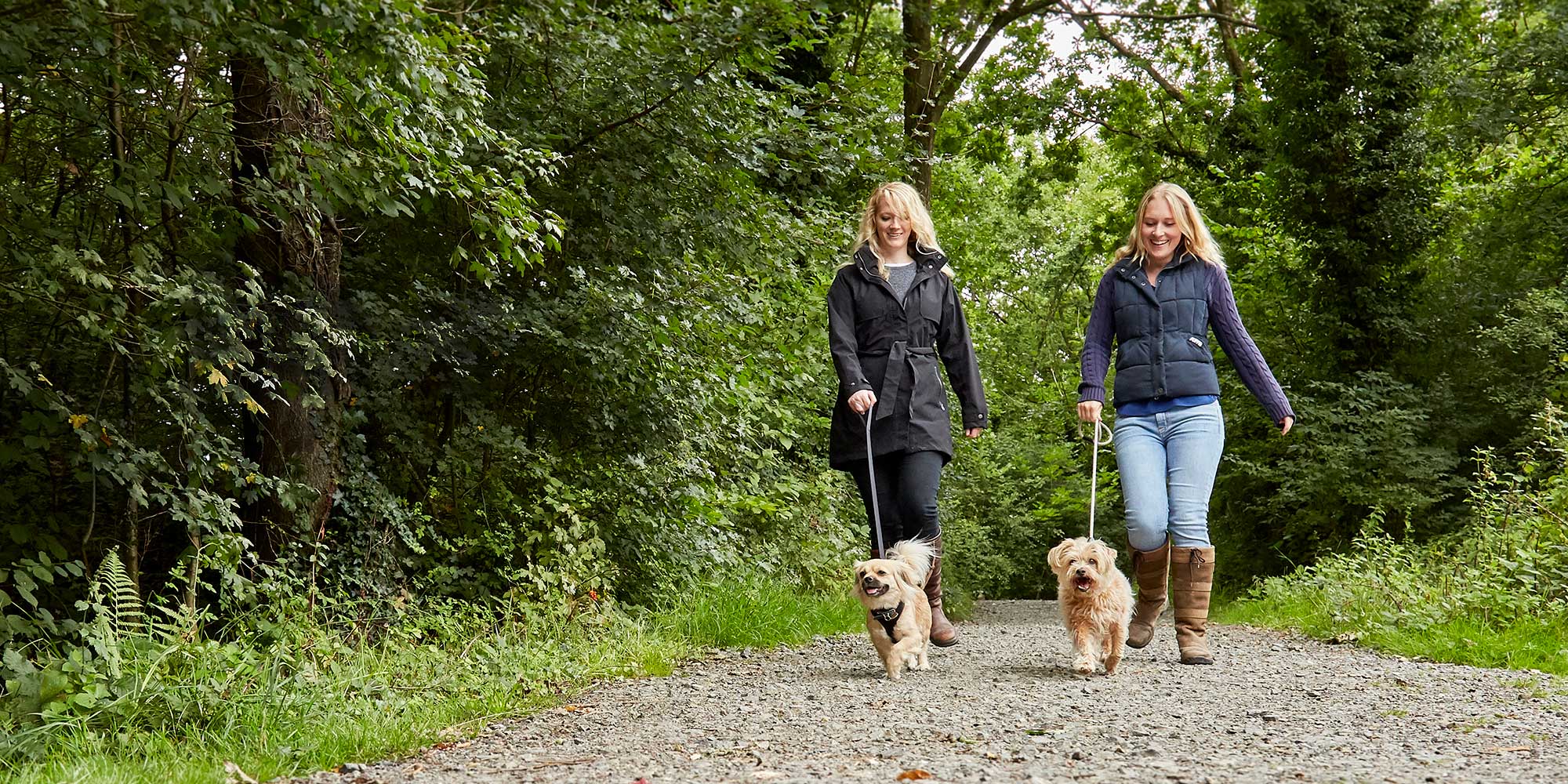 Dog Walkers enjoying a dog walk in the country