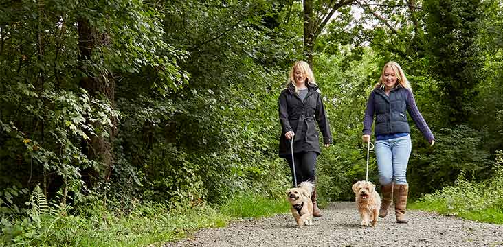 Dog Walkers enjoying a dog walk in the country