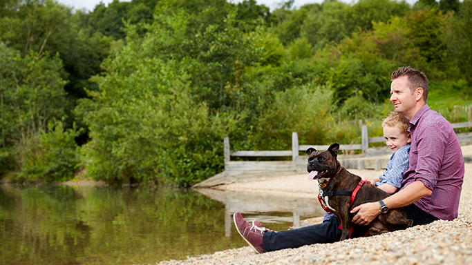 Alan Davies presents The Dog Rescuers